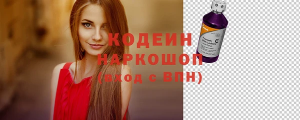 гидра Горняк