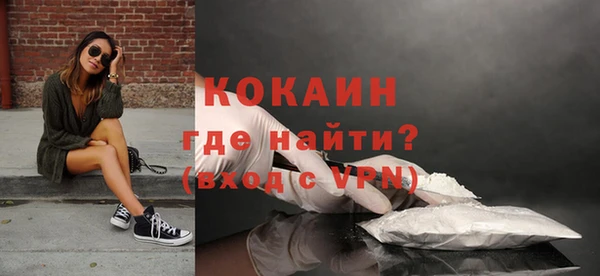гидра Горняк