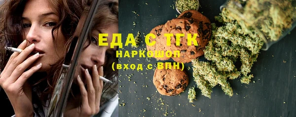 гидра Горняк