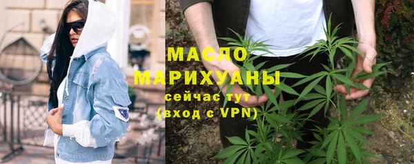 гидра Горняк