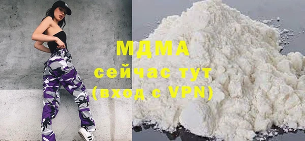 гидра Горняк