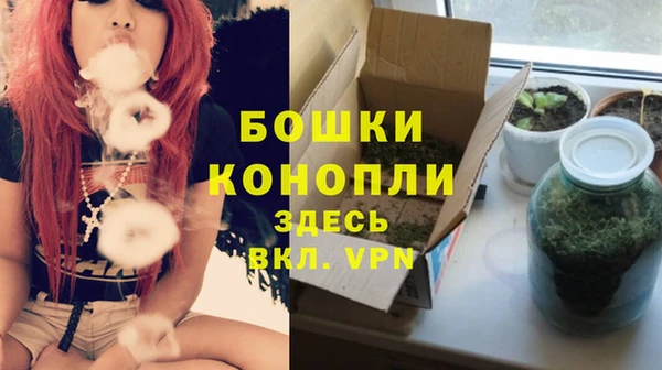 гидра Горняк