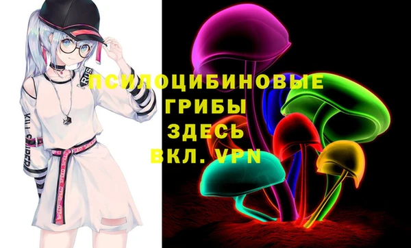 гидра Горняк