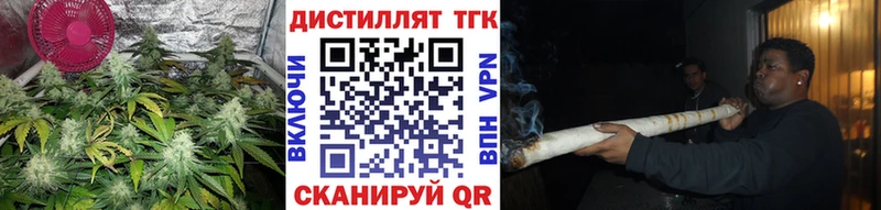 Купить  Лебедянь  Дистиллят ТГК THC oil 
