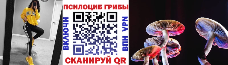Псилоцибиновые грибы MAGIC MUSHROOMS  Купить закладки  Лебедянь 